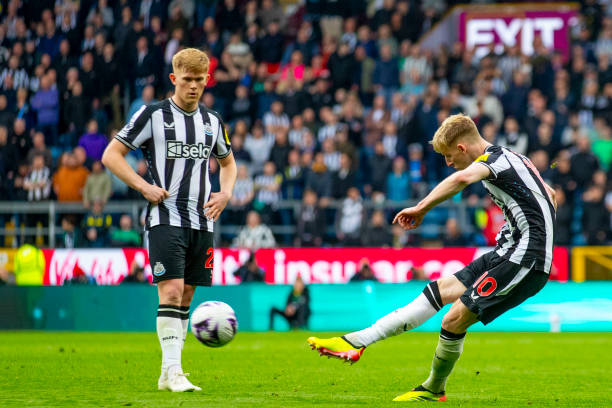 与此形成鲜 与此形成鲜